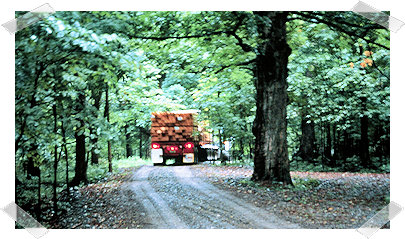 Precut Log Home Kit Delivery