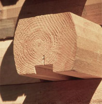 Precut logs