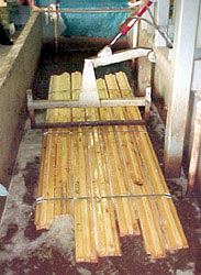 Natural TimBor Treatment of Graded Pre-cut Logs